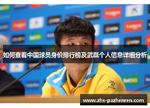 如何查看中国球员身价排行榜及武磊个人信息详细分析