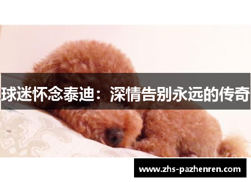 球迷怀念泰迪：深情告别永远的传奇