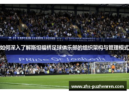 如何深入了解斯坦福桥足球俱乐部的组织架构与管理模式