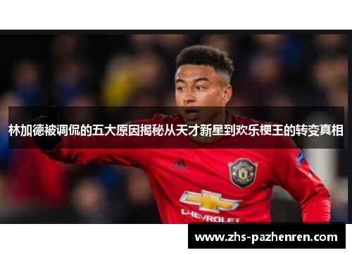 林加德被调侃的五大原因揭秘从天才新星到欢乐梗王的转变真相